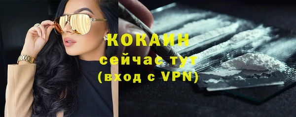 СК Магас