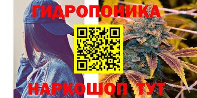 apvp Жуковский