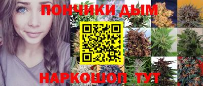 apvp Жуковский