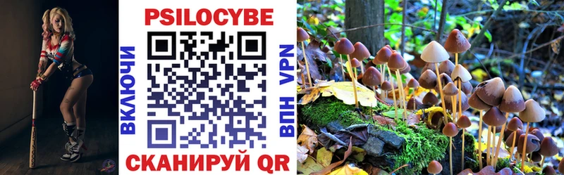 Псилоцибиновые грибы мухоморы  где можно купить наркотик  Полысаево 