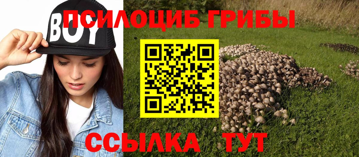 Полысаево  цены   Вход с VPN  Псилоцибиновые грибы ЛСД 